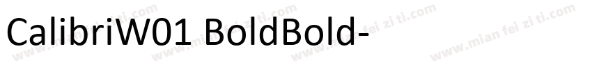 CalibriW01 BoldBold字体转换